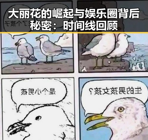 大丽花的崛起与娱乐圈背后秘密：时间线回顾