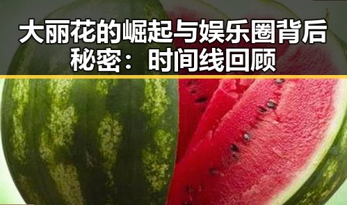 大丽花的崛起与娱乐圈背后秘密：时间线回顾