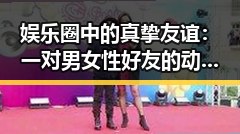 娱乐圈中的真挚友谊：一对男女性好友的动人故事